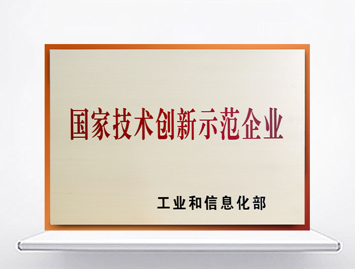 國家技術(shù)創(chuàng)新示范企業(yè)